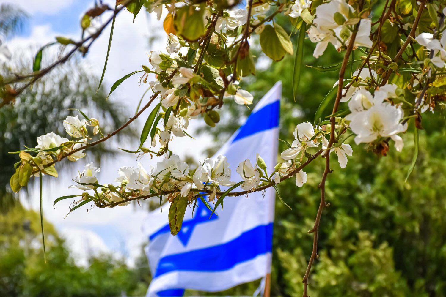 CZA-Arbeitskreis Israel lädt ein: Gebet für Israel