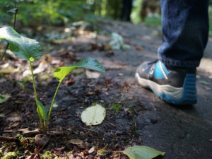 Männer Event: Wanderung