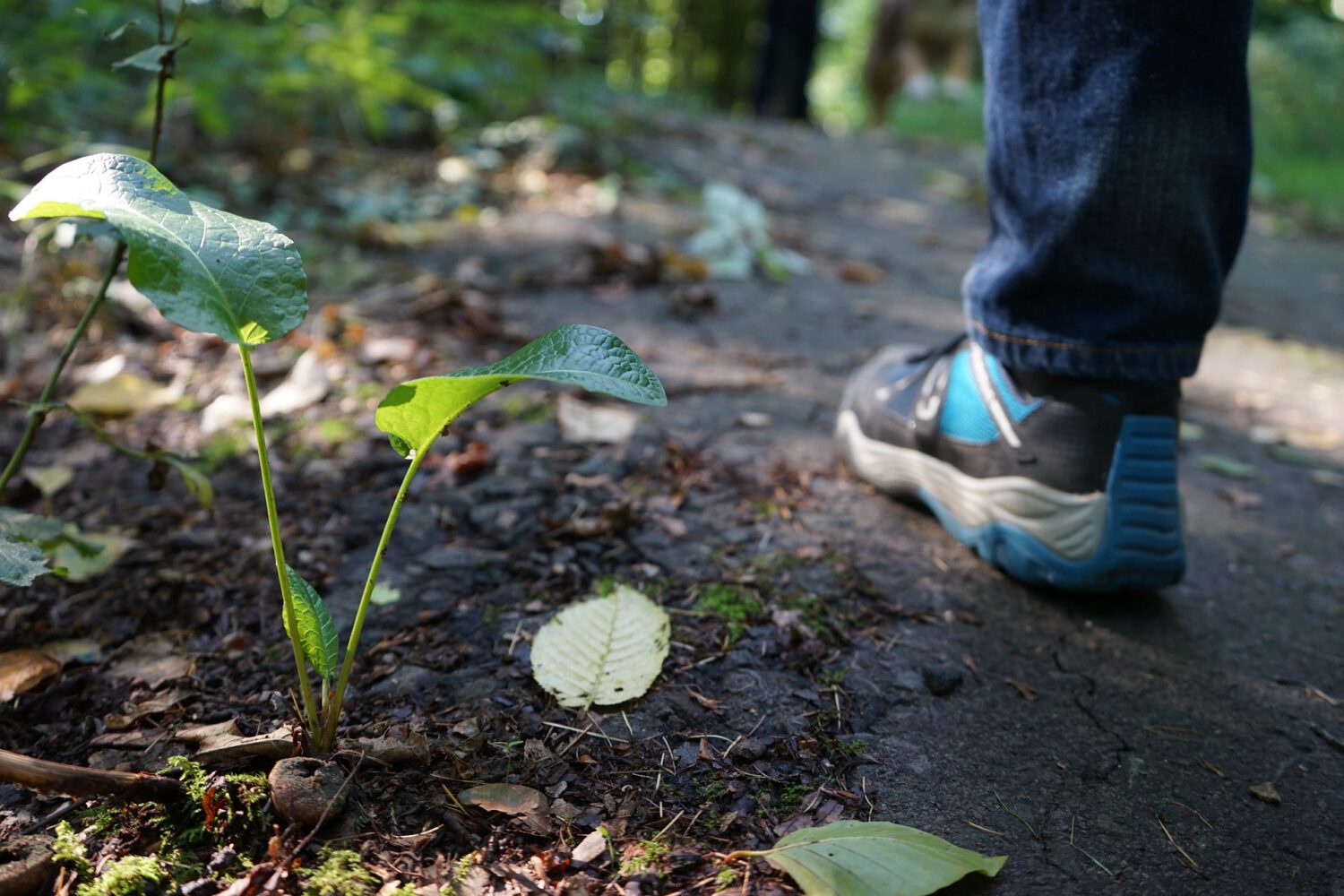 Männer Event: Wanderung